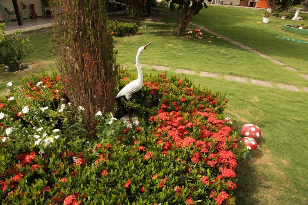 Hotel Jardim Fortaleza  Kültér fotó