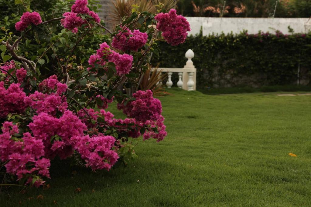 Hotel Jardim Fortaleza  Kültér fotó